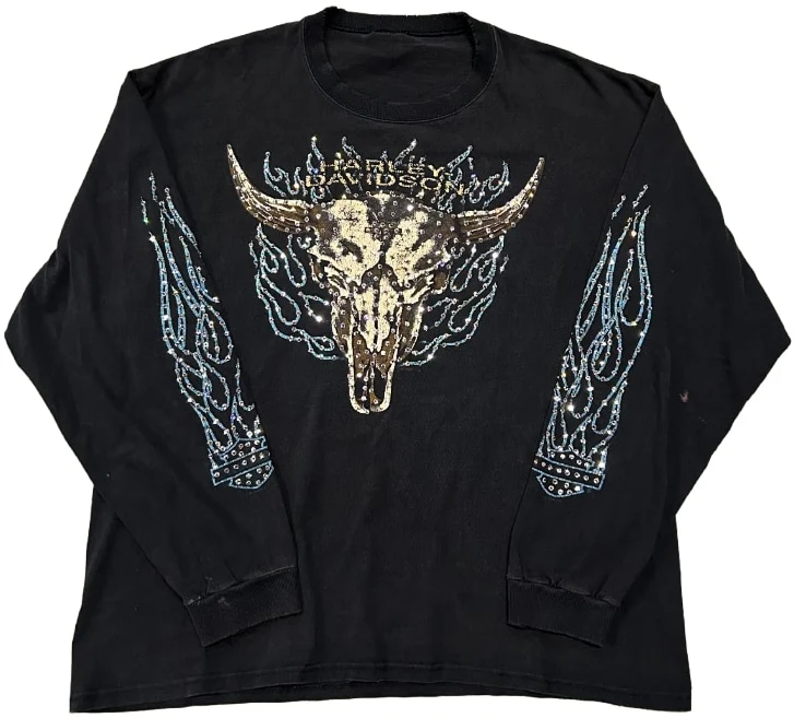 Harley Davidson 'Twin Cities - Savage, MN' Rhinestone Vintage L/S