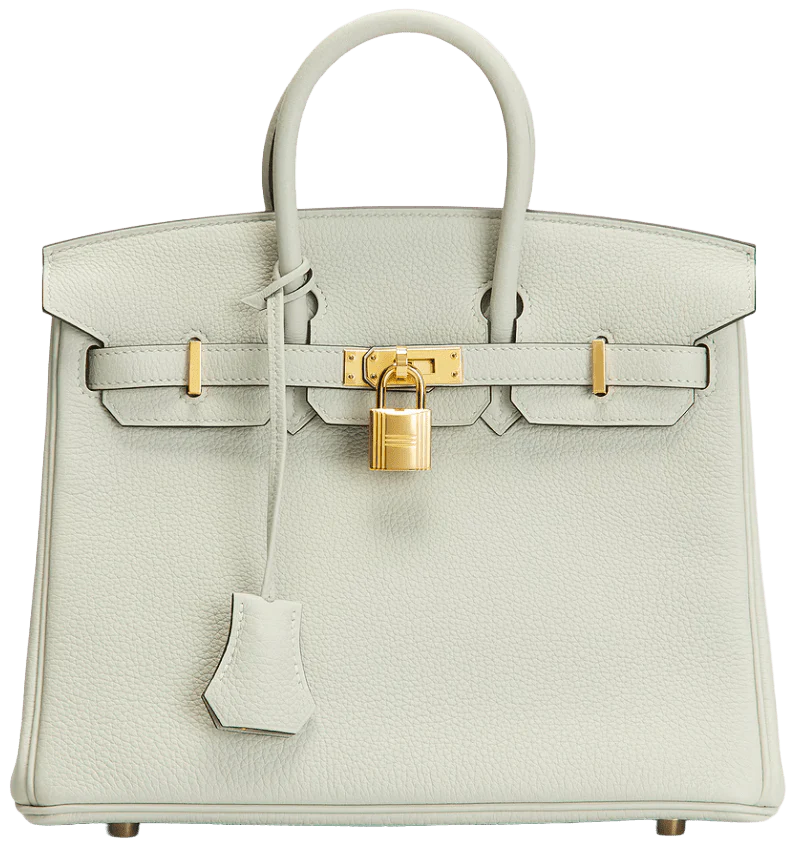 Hermés Togo 'Gris Neve' Birkin 25 2023 Handbag