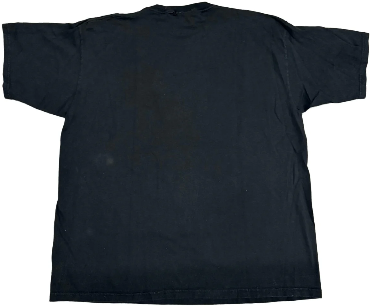 Jeff Gordon '24' Rhinestone Vintage Tee - Image 2