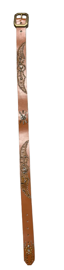 Studded 'Brown Scale Silver Star Spider Gem' Brown Belt - Image 2